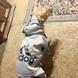 Meet your Posher, Blake